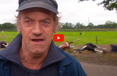 paarden blikseminslag video